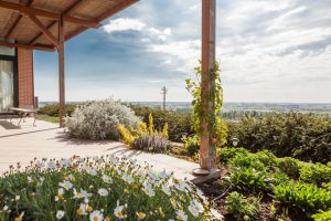 Terrazza panoramica Le Bianchette