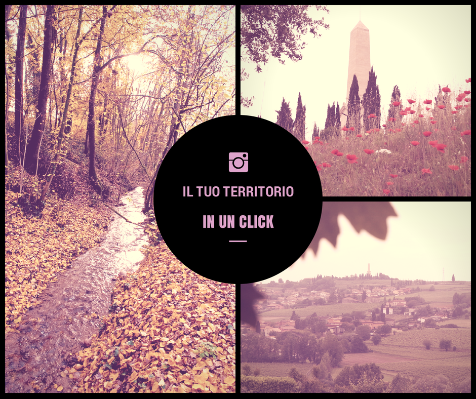 IL TUO TERRITORIO IN UN CLICK