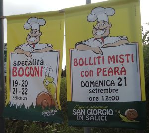 Sagra_Bogoni_2014