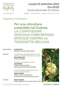 Convegno Consorzio