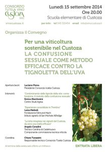 Convegno Consorzio