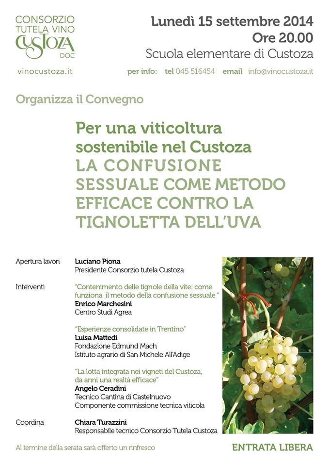 Convegno Consorzio
