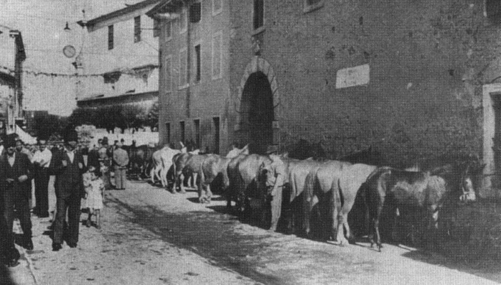 fiera di san rocco immagine d'epoca