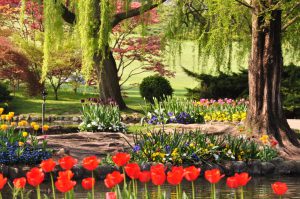 Parco Giardino Sigurtà - Il Laghetto