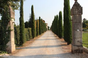 viale d ingresso_RID2_PER WEB