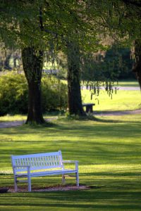 Parco Giardino Sigurtà - una panchina all'ombra