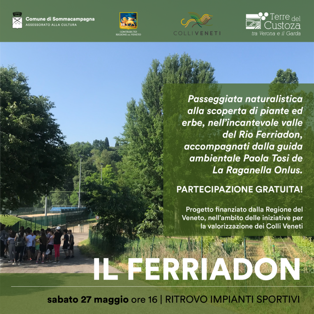Il Ferriadon
