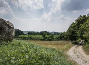 Scopri gli itinerari turistici delle Terre del Custoza (Verona - Italia)